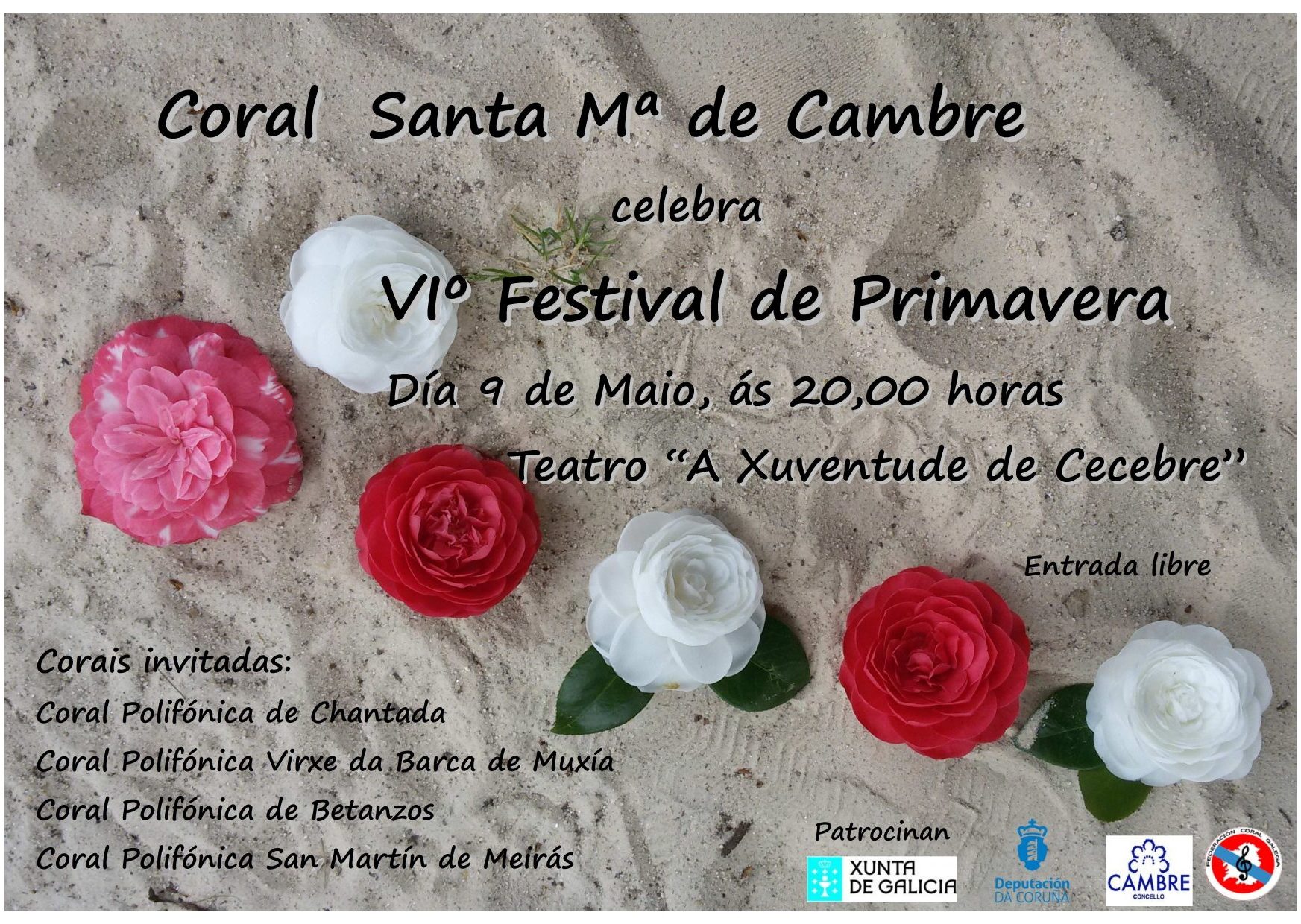 VI FESTIVAL DE PRIMAVERA-2015